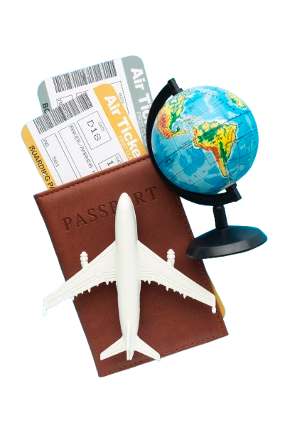 Illustration of a woman sitting on a transparent cube working on a laptop with a large plant beside her and a pink paper airplane flying around